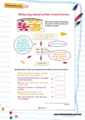 Reducing ratios to their lowest terms