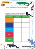 Researching vertebrates worksheet