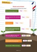 Rocks and soil facts worksheet