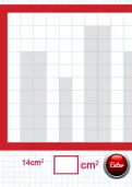 Finding the area of squares and rectangles tutorial