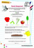 Seed dispersal activity