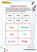 Singular and plural worksheet