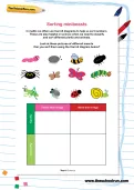 Sorting minibeasts worksheet
