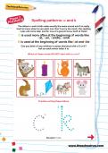 Spelling patterns: c and k worksheet