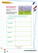 Spelling patterns: the prefix aqua- worksheet