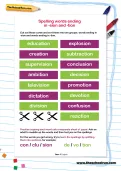 Spelling patterns: words ending in -sion and -tion