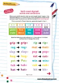 Split vowel digraph words and sentences worksheet