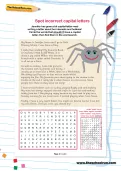 Spot incorrect capital letters wordsearch