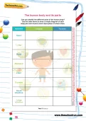 The human body and its parts worksheet