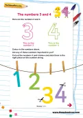 The numbers 3 and 4