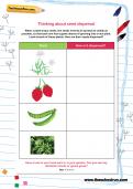 Thinking about seed dispersal worksheet