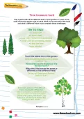 Tree treasure hunt