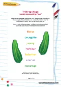 Tricky spellings: more words containing 'our' worksheet