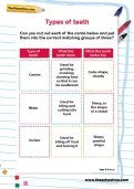 Types of teeth activity