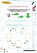 Understanding a frog’s life cycle