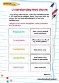 Understanding food chains activity