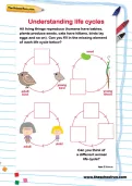 Understanding lifecycles worksheet