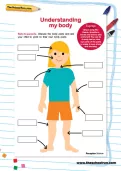 Understanding my body worksheet