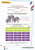 Using collective nouns worksheet