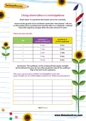 Using observation in investigations worksheet