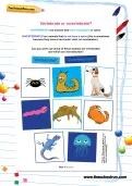 Vertebrate or invertebrate worksheet