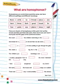 What are homophones? worksheet