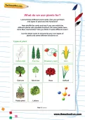 What do we use plants for?