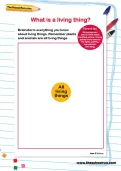 What is a living thing? worksheet