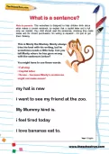 What is a sentence? worksheet