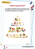 What is good food? activity
