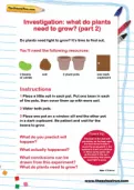 What plants need to grow part 2