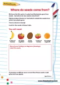 Where do seeds come from? activity