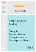 TheSchoolRun optional SATs papers: Y3 English set A