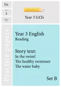 TheSchoolRun optional SATs papers: Y3 English set B
