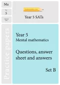 TheSchoolRun optional SATs papers: Y5 maths set B