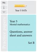 TheSchoolRun optional SATs papers: Y5 maths set B