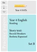 TheSchoolRun optional SATs papers: Y4 English set B