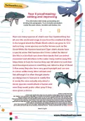 Year 6 proofreading: editing and improving