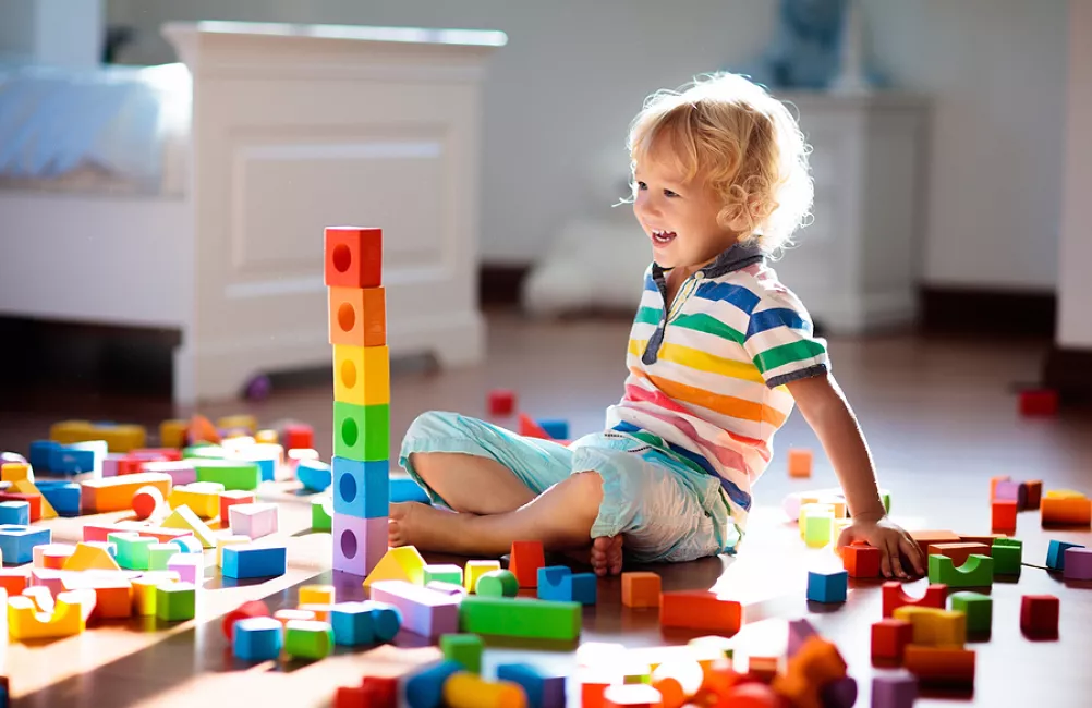 Buy toys safely online