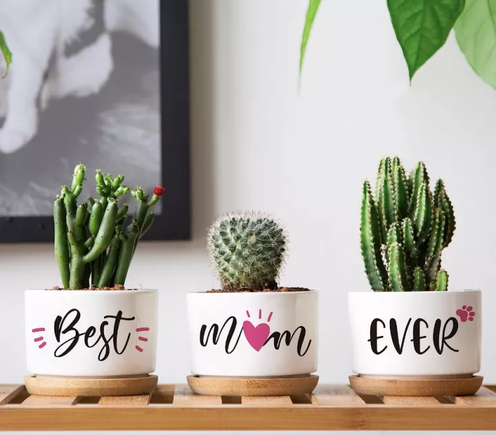 Best mum ever planters