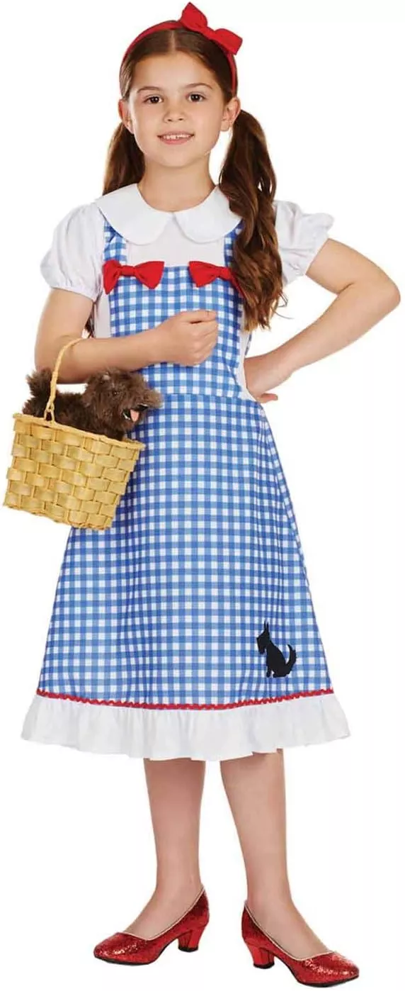 Dorothy costume