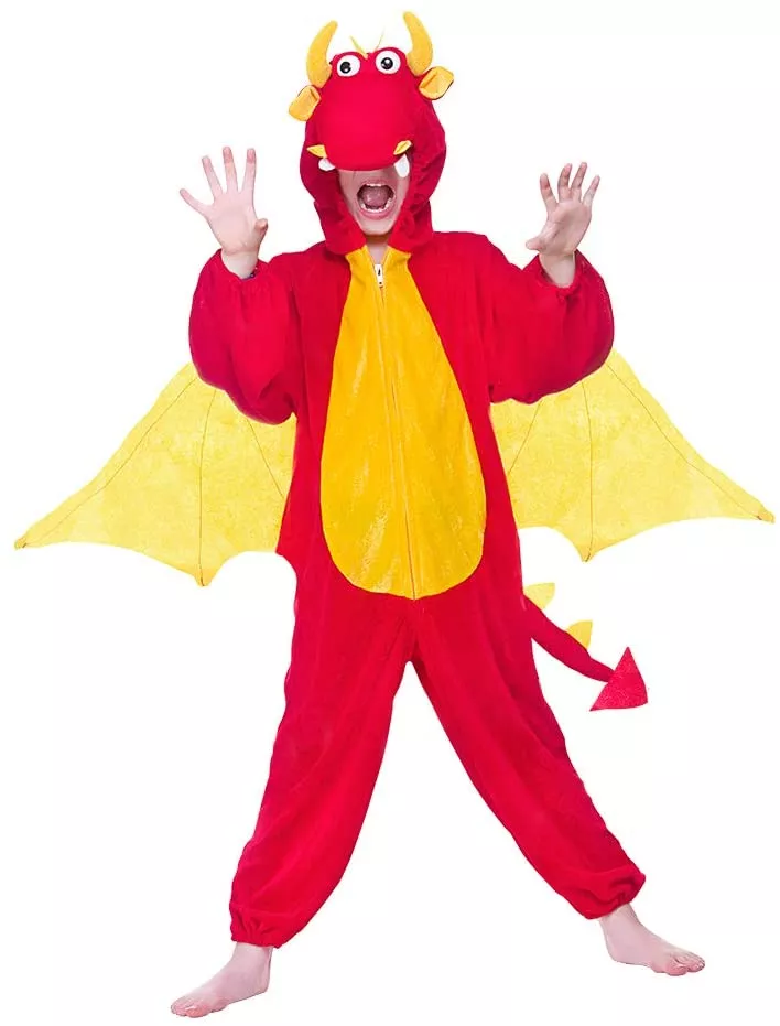 Dragon costume from Amazon Dragon costume