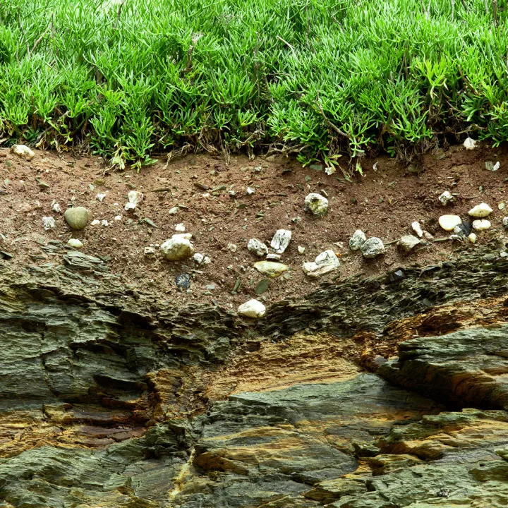 Homework Gnome rocks and soil Homework Gnome rocks and soil