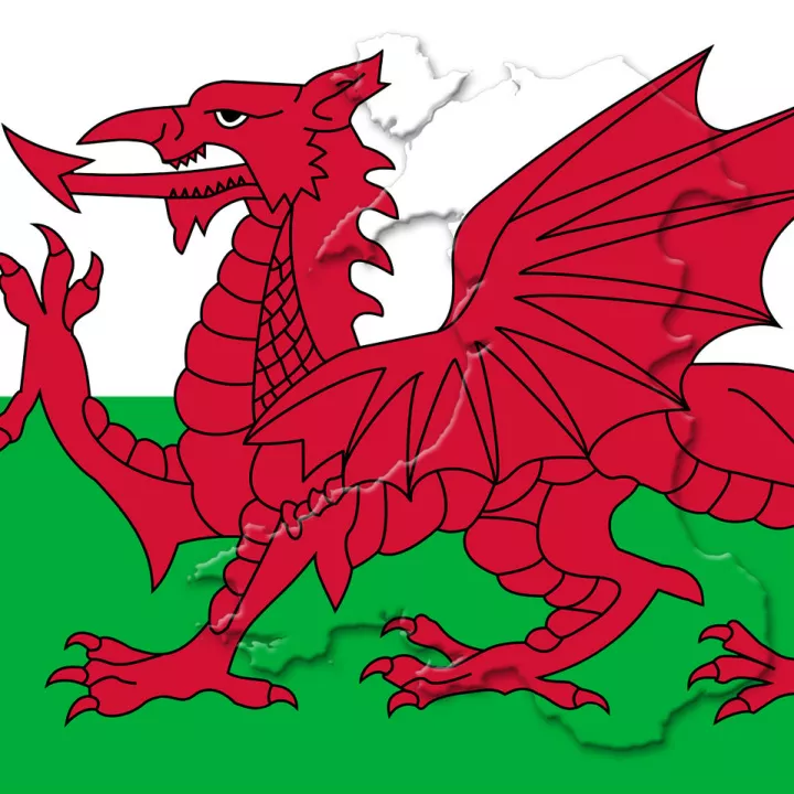 Homework Gnome Wales Homework Gnome Wales