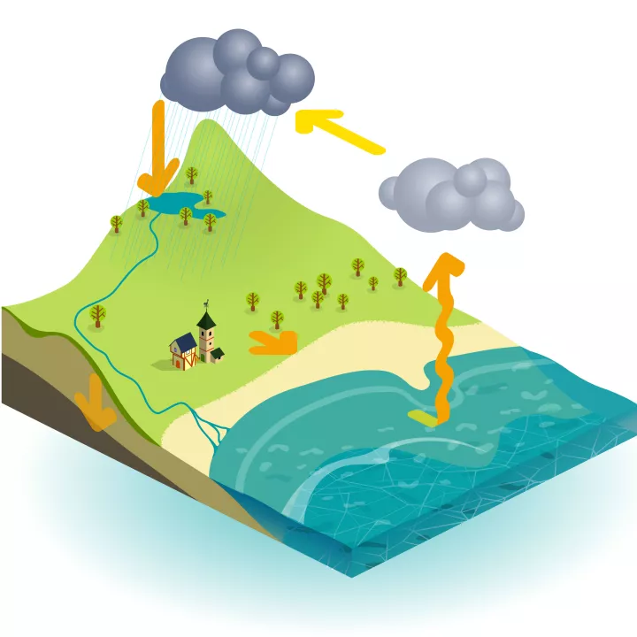 Homework Gnome water and the water cycle