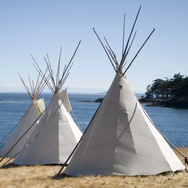 Native Americans Homework Gnome Native Americans Homework Gnome