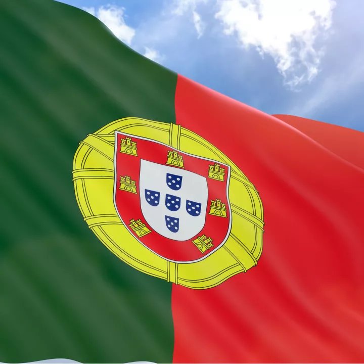 Homework Gnome Portugal Homework Gnome Portugal