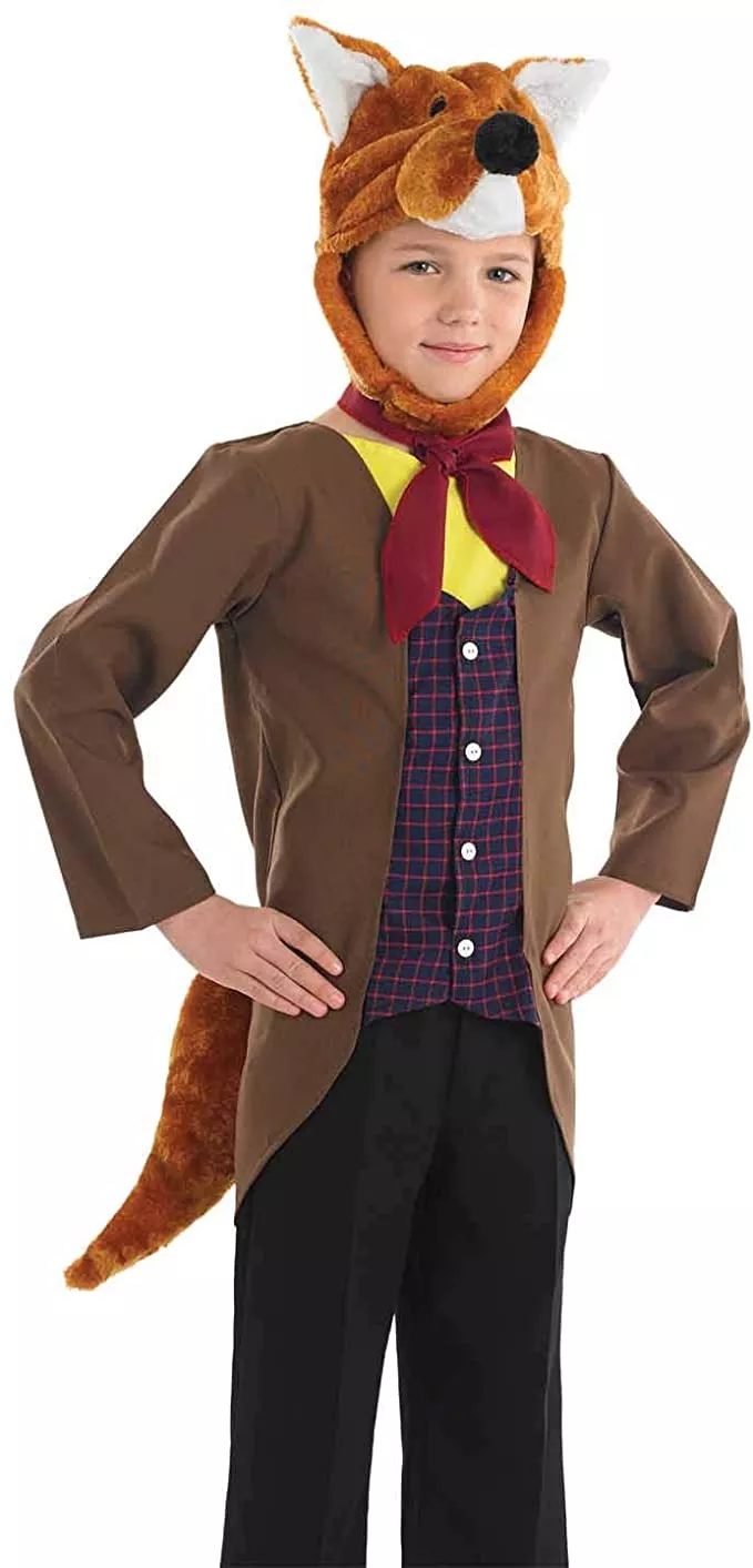 Fox costume Fox costume