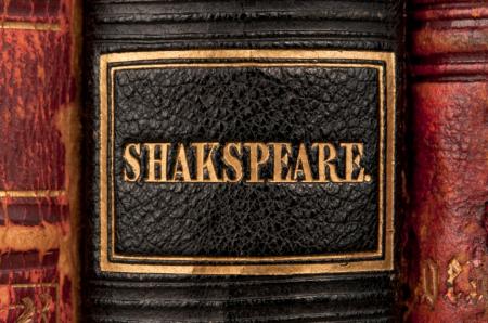 Shakespeare book