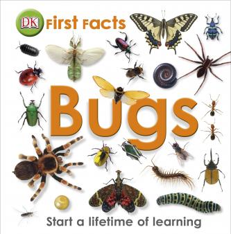 Insects Homework Help Insects For Ks1 And Ks2 Insects